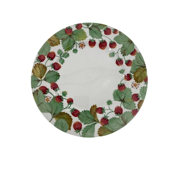 Royal Stafford Fine Earthenware Dinner  Plates Set Of 4 Wildberry Design 11” - Picture 2 of 6